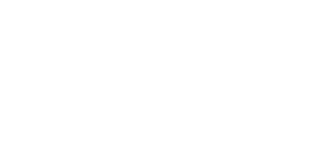 Logo Aimo