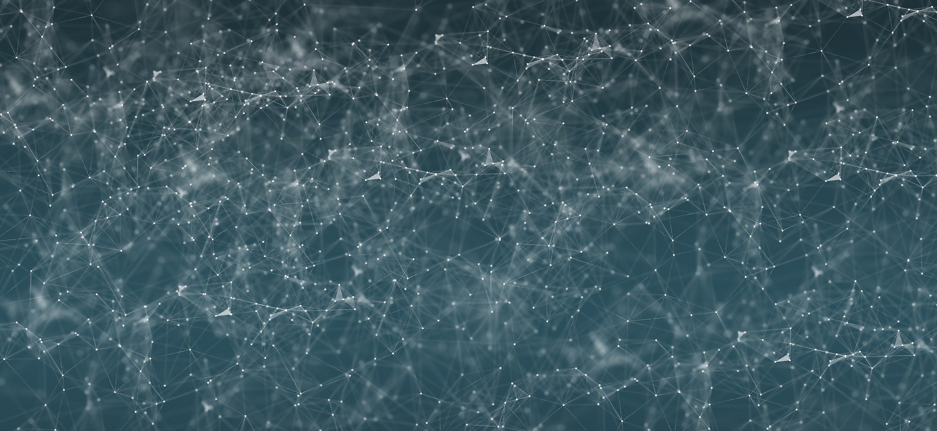 Network